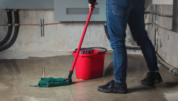 Water damage restoration mold remediation in Shinglehouse, PA