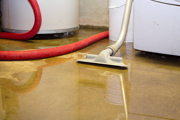 Best 24/7 water damage repair  in Shinglehouse, PA