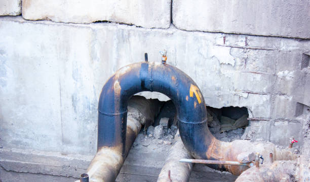 Best Basement water damage restoration  in Shinglehouse, PA