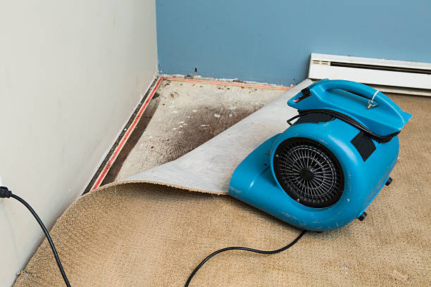 Best Flood damage cleanup  in Shinglehouse, PA